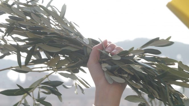 Nota Pastorale “Educare a una pace disarmata e disarmante”